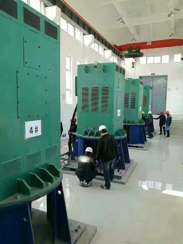 YKK5004-6某污水处理厂使用我厂的立式高压电机安装现场