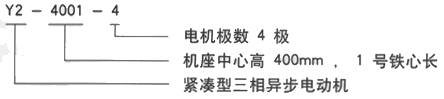 YR系列(H355-1000)高压YKK5004-6三相异步电机西安西玛电机型号说明